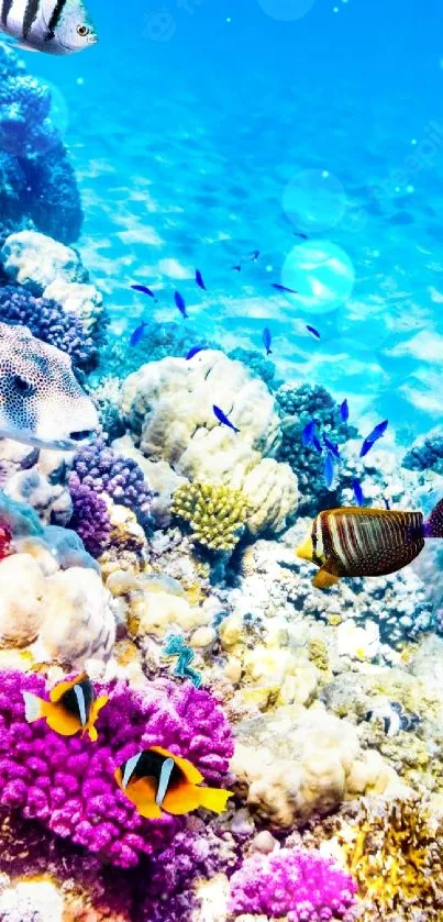Vibrant coral reef with tropical fish and blue ocean background.
