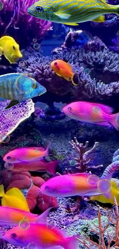 Vibrant coral reef with colorful fish underwater scene.