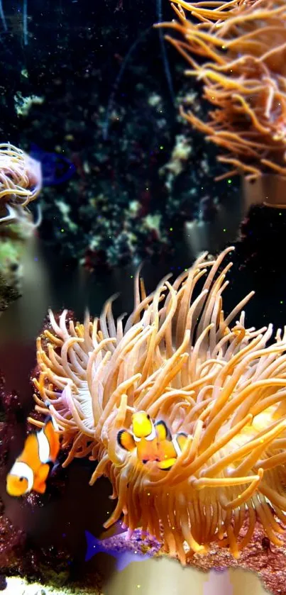 Vibrant coral reef with clownfish swimming