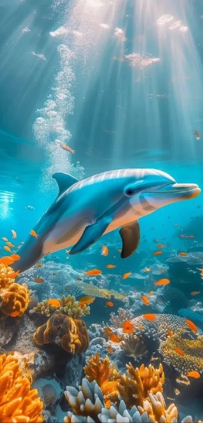 Dolphin swimming in a colorful coral reef with sunlight streaming through the water.