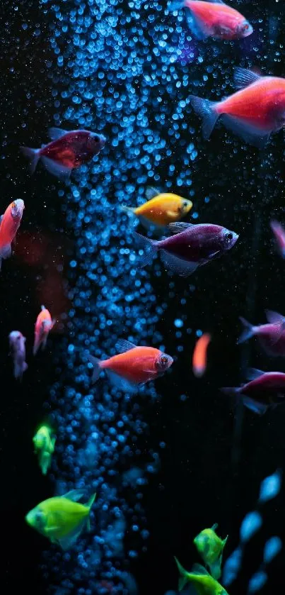 Vibrant fish swimming in a colorful underwater aquarium display.