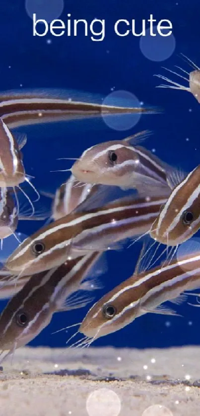 School of fish swimming underwater, showcasing ocean life.