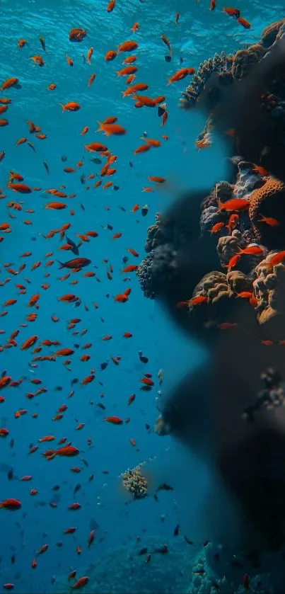 Colorful fish swim near a coral reef in a vibrant underwater scene.