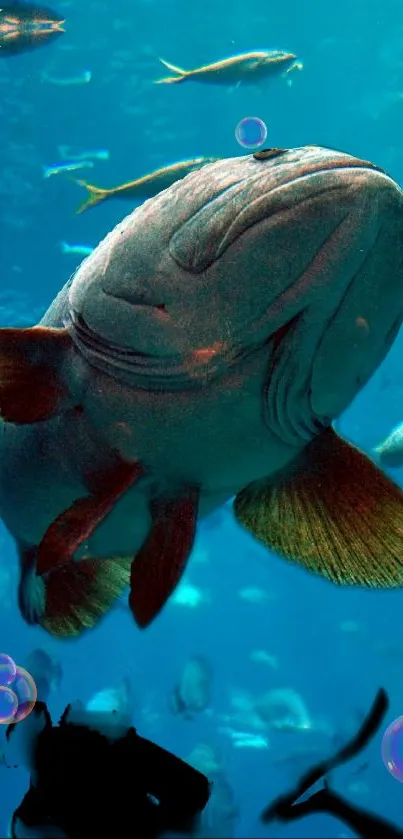 Underwater scene with fish and bubbles, featuring vibrant blue tones.