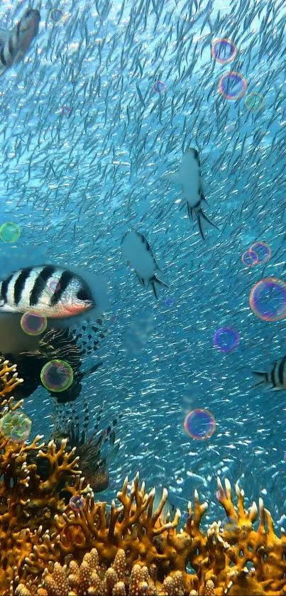 Underwater scene with colorful fish and coral.