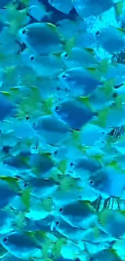 Vibrant blue fish swimming in clear waters with a vivid underwater background.