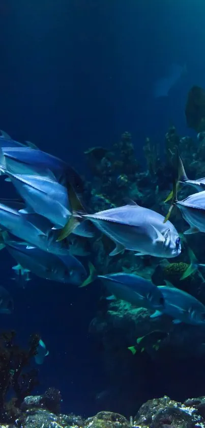 School of fish swimming in the deep blue ocean.