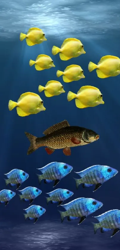 Vibrant yellow and blue fish in an underwater scene on mobile wallpaper.