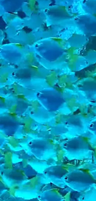 Vibrant blue underwater scene with numerous colorful fish.