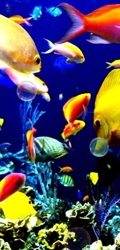 Vibrant underwater scene with colorful tropical fish and coral.