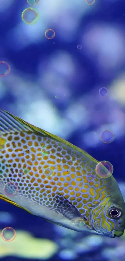 A vibrant fish swims in a colorful underwater scene.