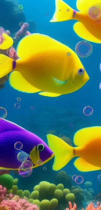 Vibrant tropical fish swim among colorful corals in an underwater scene.