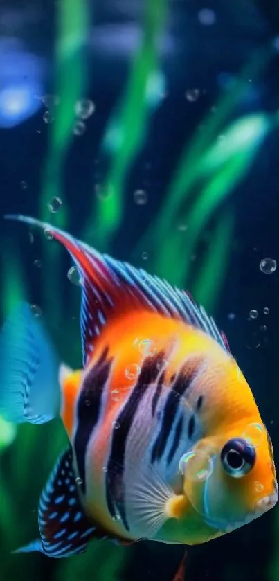 Colorful fish swimming in an aquatic scene, surrounded by green plants and bubbles.