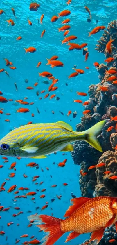 Vibrant underwater scene with colorful fish and coral reef.