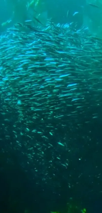 Swirling school of fish in a deep teal ocean setting.