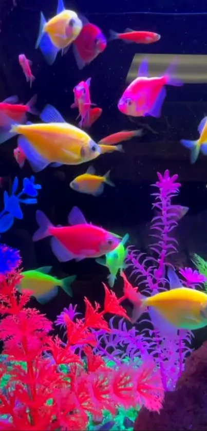 Neon fish swimming in vibrant underwater scene.