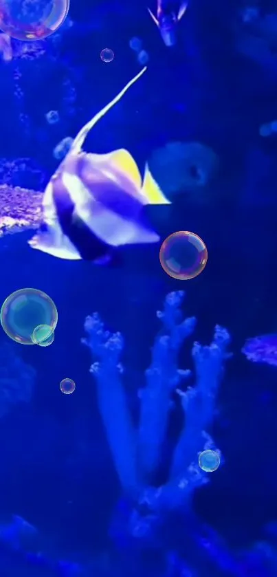 Colorful fish swims in vibrant underwater scene with bubbles and coral.