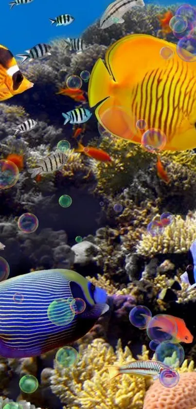 Vibrant underwater wallpaper with tropical fish and coral reef, vivid colors.