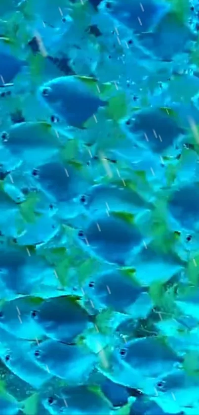 School of bright blue fish in a vibrant underwater scene.