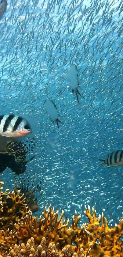 Vibrant underwater scene with fish and coral in the ocean.