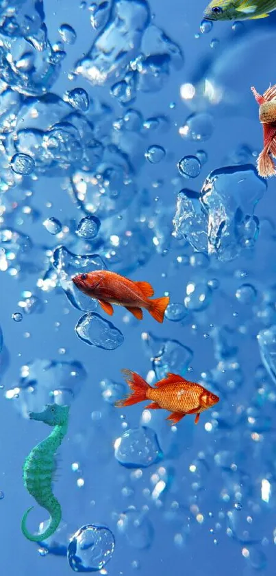 Vibrant underwater scene with colorful fish and bubbles on a blue background.