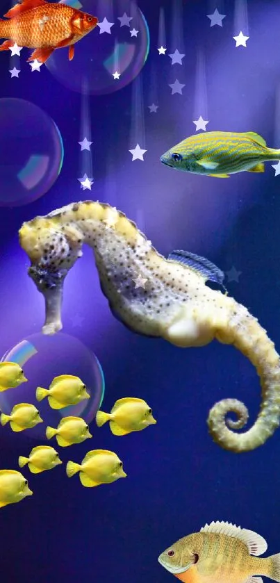 Seahorse and fish against deep blue underwater background with bubbles.