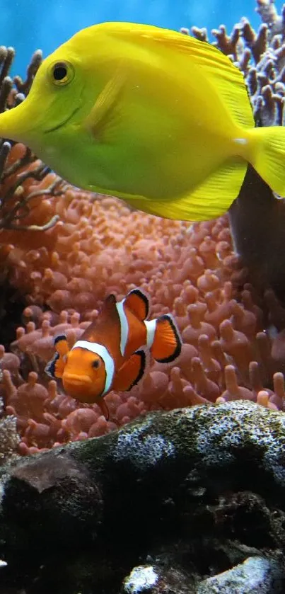 Colorful coral reef with tropical fish underwater.