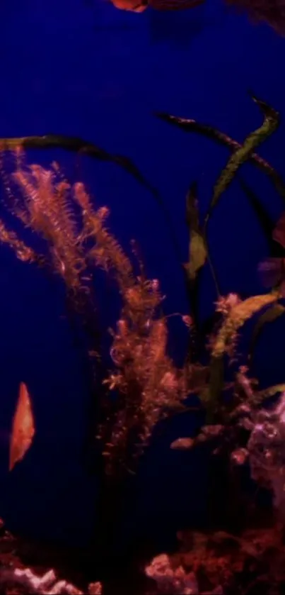 Vibrant underwater marine scene with corals and fish.