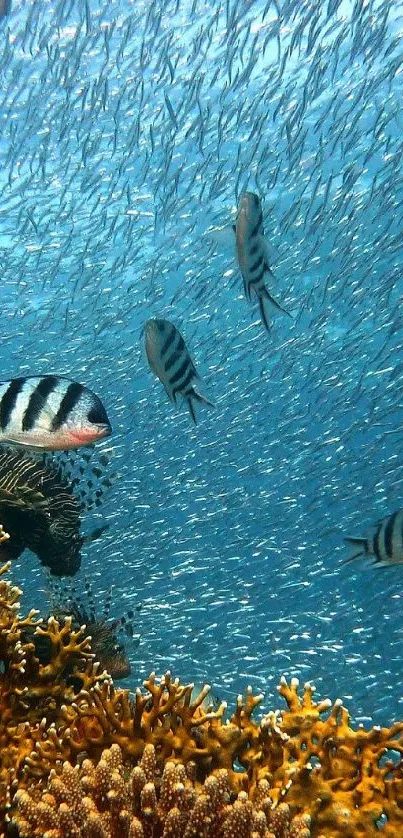 Vibrant underwater scene with corals and exotic fish swimming in the ocean.