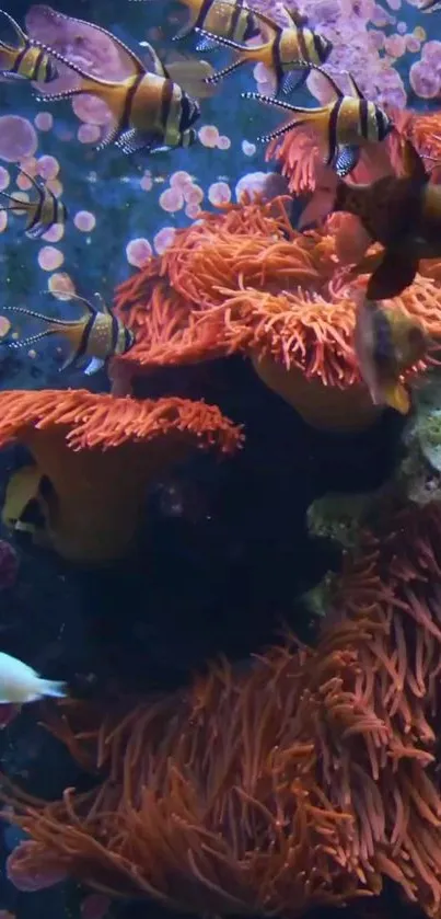 Vibrant underwater scene with clownfish and colorful corals.