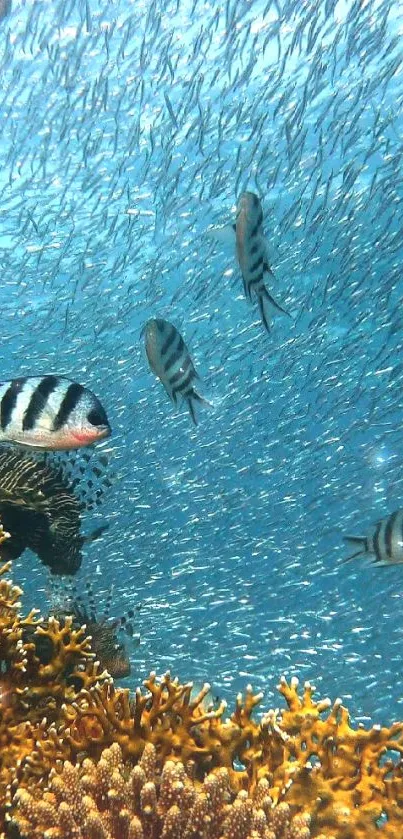 Vibrant underwater scene with coral and fish.