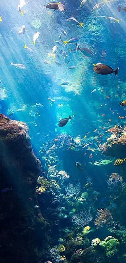 Colorful underwater scene with fish and coral.