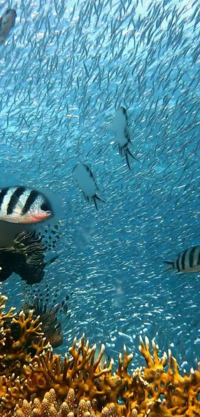 Vibrant underwater scene with fish and coral in blue ocean.