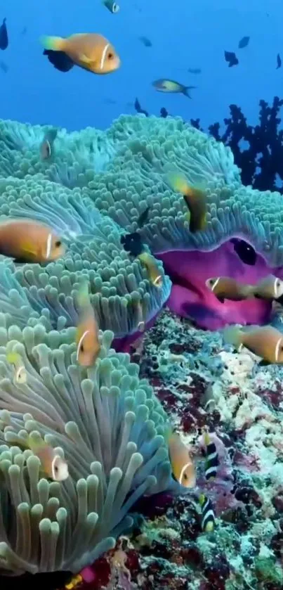 Vibrant underwater ocean scene with colorful coral and fish.