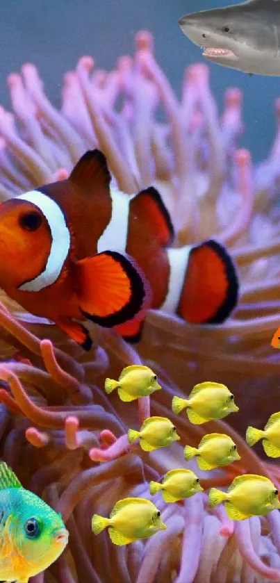 Colorful marine life with clownfish and coral in an underwater scene.