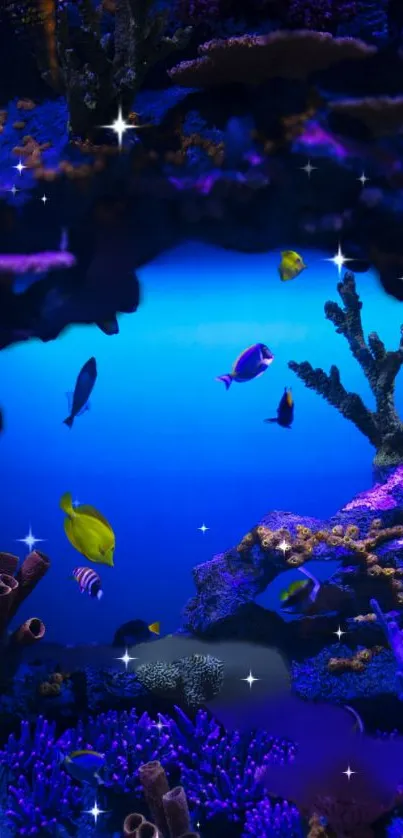 Vibrant underwater scene with colorful fish in a blue ocean setting.