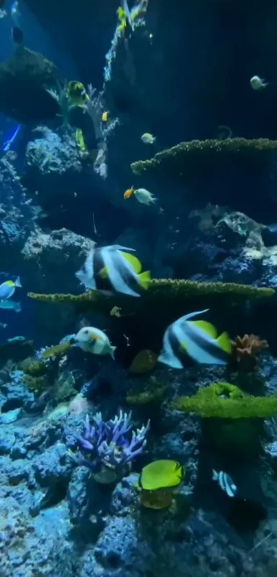 Underwater scene with colorful fish and coral in a deep blue ocean setting.