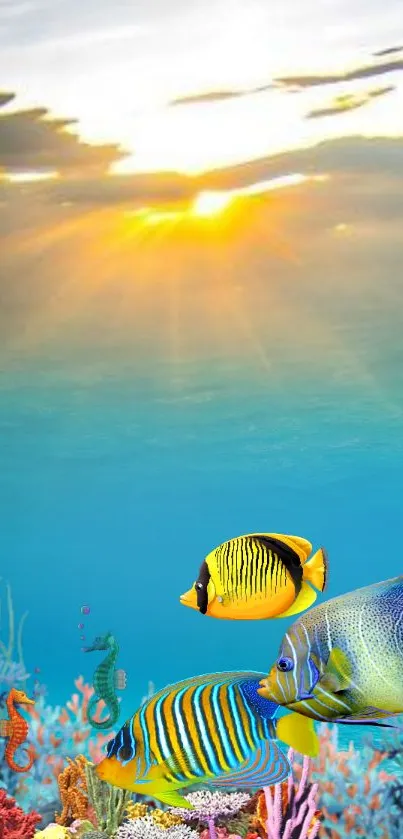 Vibrant underwater scene with fish and coral during sunset.