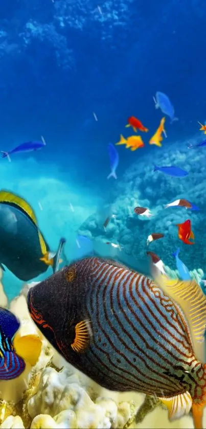 Colorful tropical fish swimming in a vibrant underwater ocean scene.