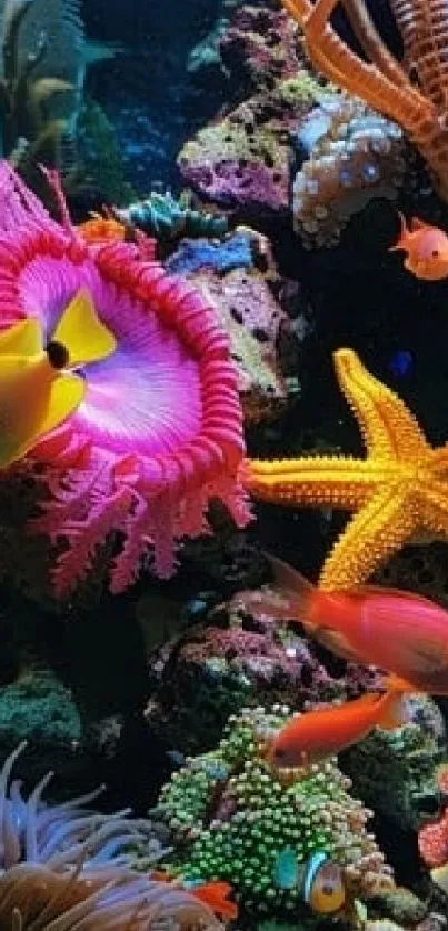 Colorful coral reef with vibrant fish and marine life.