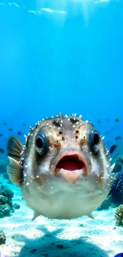 Pufferfish in vibrant underwater scene with coral and fish.