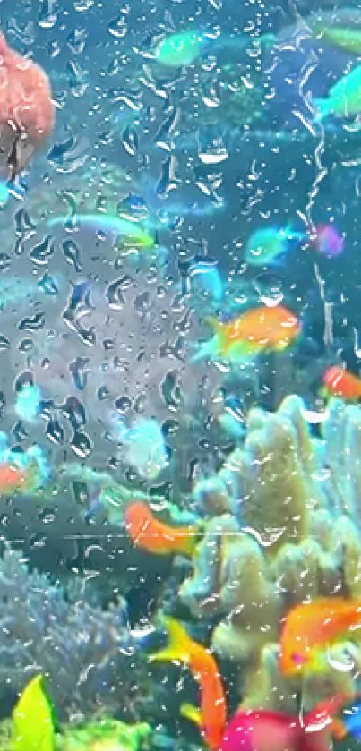 Colorful fish swim underwater with raindrops on lens.