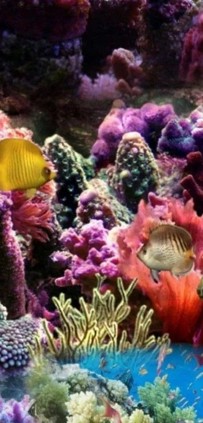 Colorful coral reef with fish underwater.