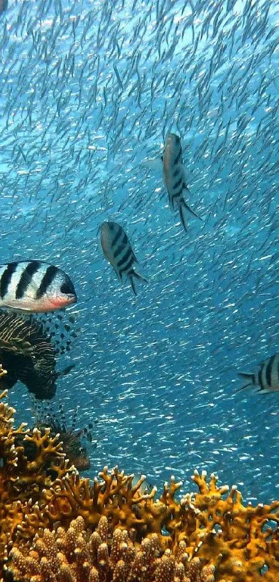 Vibrant underwater scene with coral and striped fish.