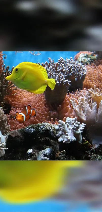 Colorful coral reef with vibrant fish.