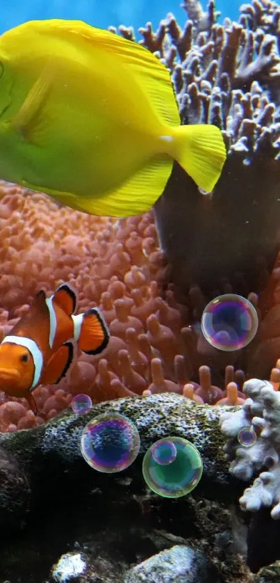 Yellow fish swimming near coral reef in ocean.