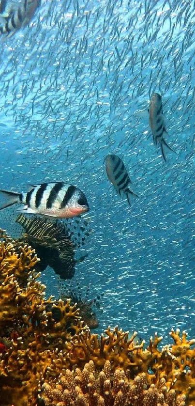 Vibrant underwater scene with coral and fish in a blue ocean.