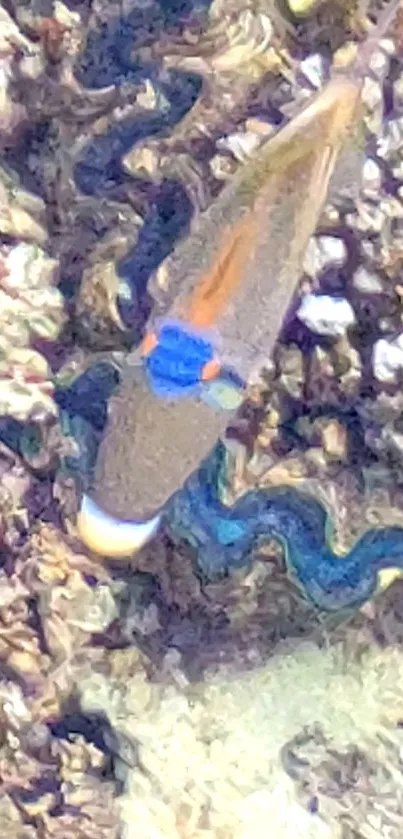 Colorful fish swimming among coral reefs in vibrant underwater scene.