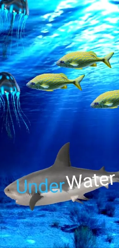 Shark and jellyfish swim in a vibrant blue underwater scene.