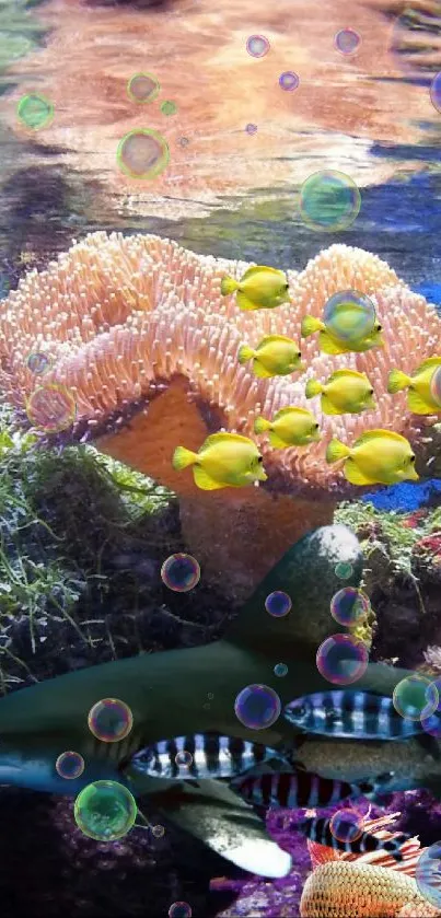 Vibrant underwater scene with coral and fish.